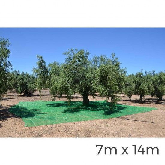 Manto para coleta de frutas 7x14m cor verde ref. 75118 NULL