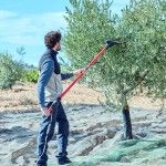 Varejador de Azeitonas Bellota 12-24v [VA1] + extenso [VA3002ALU]