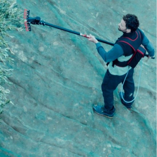 Varejador de Azeitonas Bellota 12-24v [VA1]