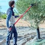 Varejador de Azeitonas Bellota 12-24v [VA1]