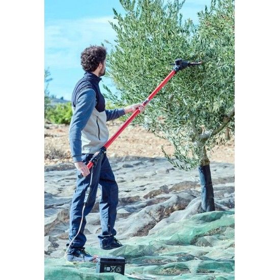 Varejador de Azeitonas Bellota 12-24v [VA1]