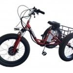 Carro Transporte Industrial Eletrico 3 Rodas Etri Red ref� 224005 Powered