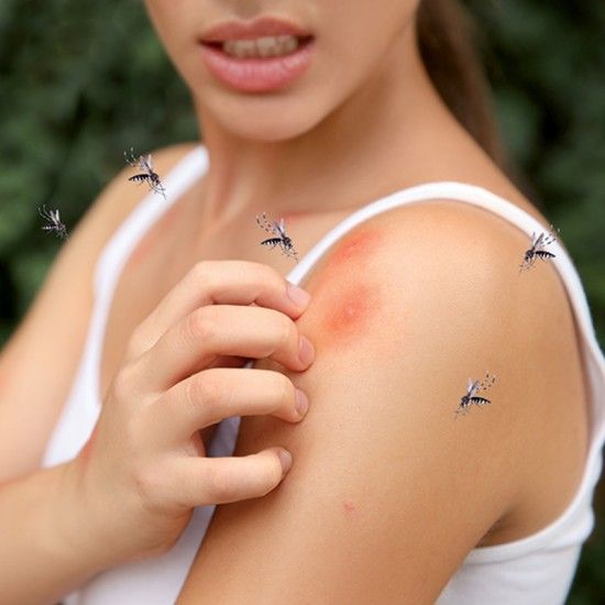 Pulseira repelente mosquitos ultra-som ref EG-BRAMOUSN Xanlite