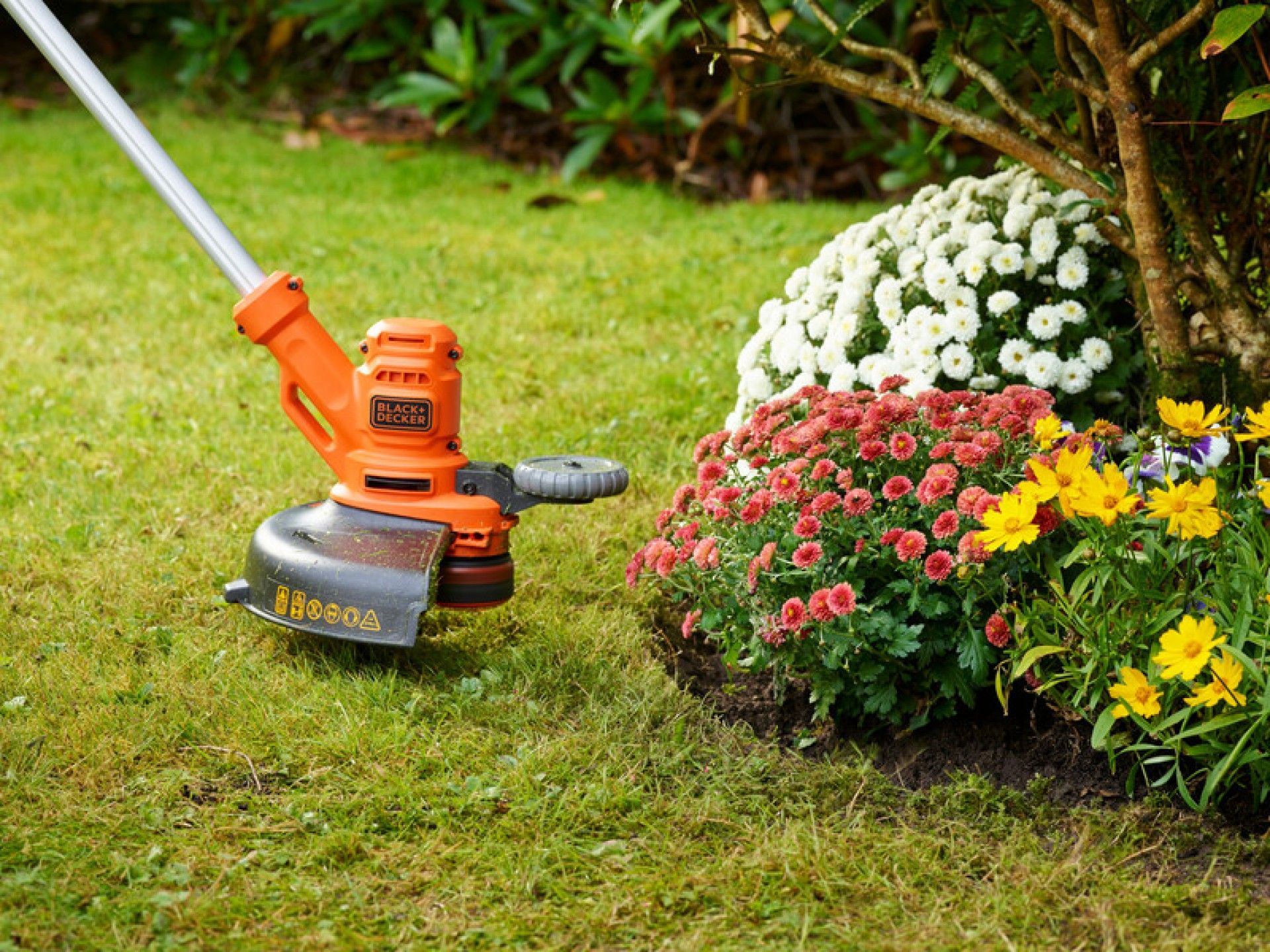 Aparador 550W 30cm refª BESTA530-QS BLACK DECKER