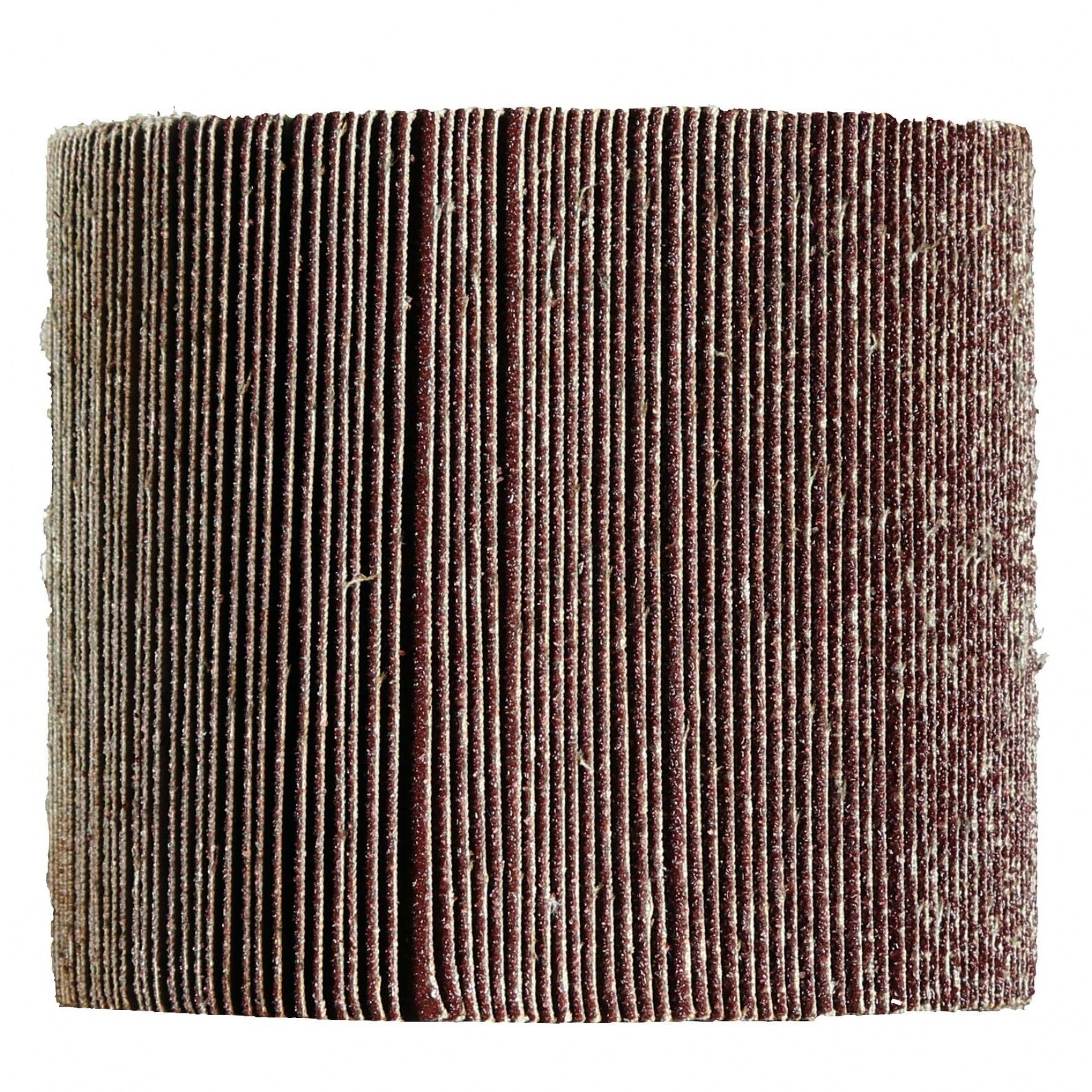 Escova com lamelas abrasivas 120 x 100 mm refª 4468013 Einhell