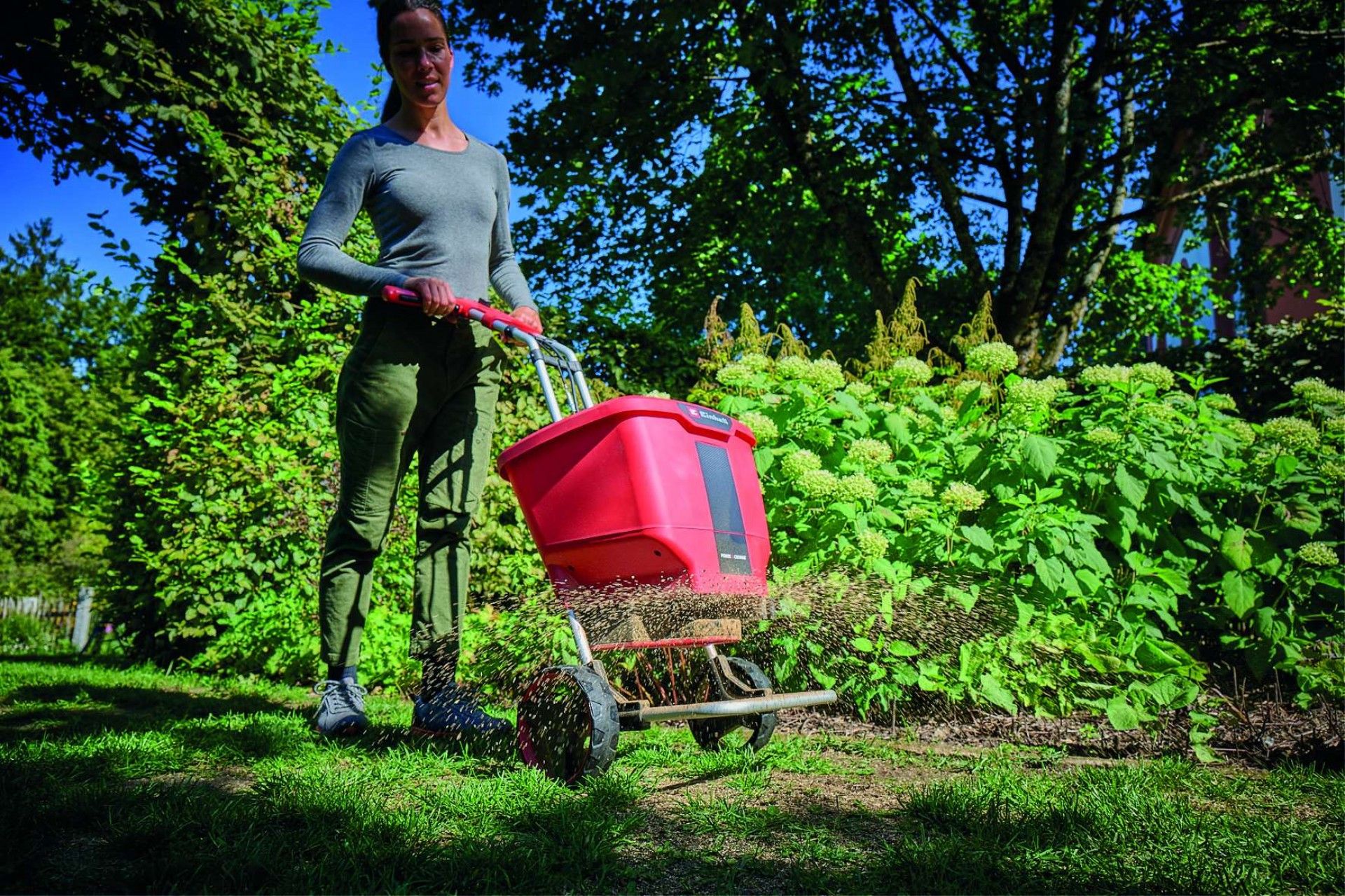 Semeador dispersor multifunções a bateria GE-SR 18/22 Li-Solo refª 3415430 Einhell