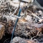 L�mina de serra sabre S 1242 KHM EXPERT ?Tough Wood? 1 un. ref� 2608900406 BOSCH