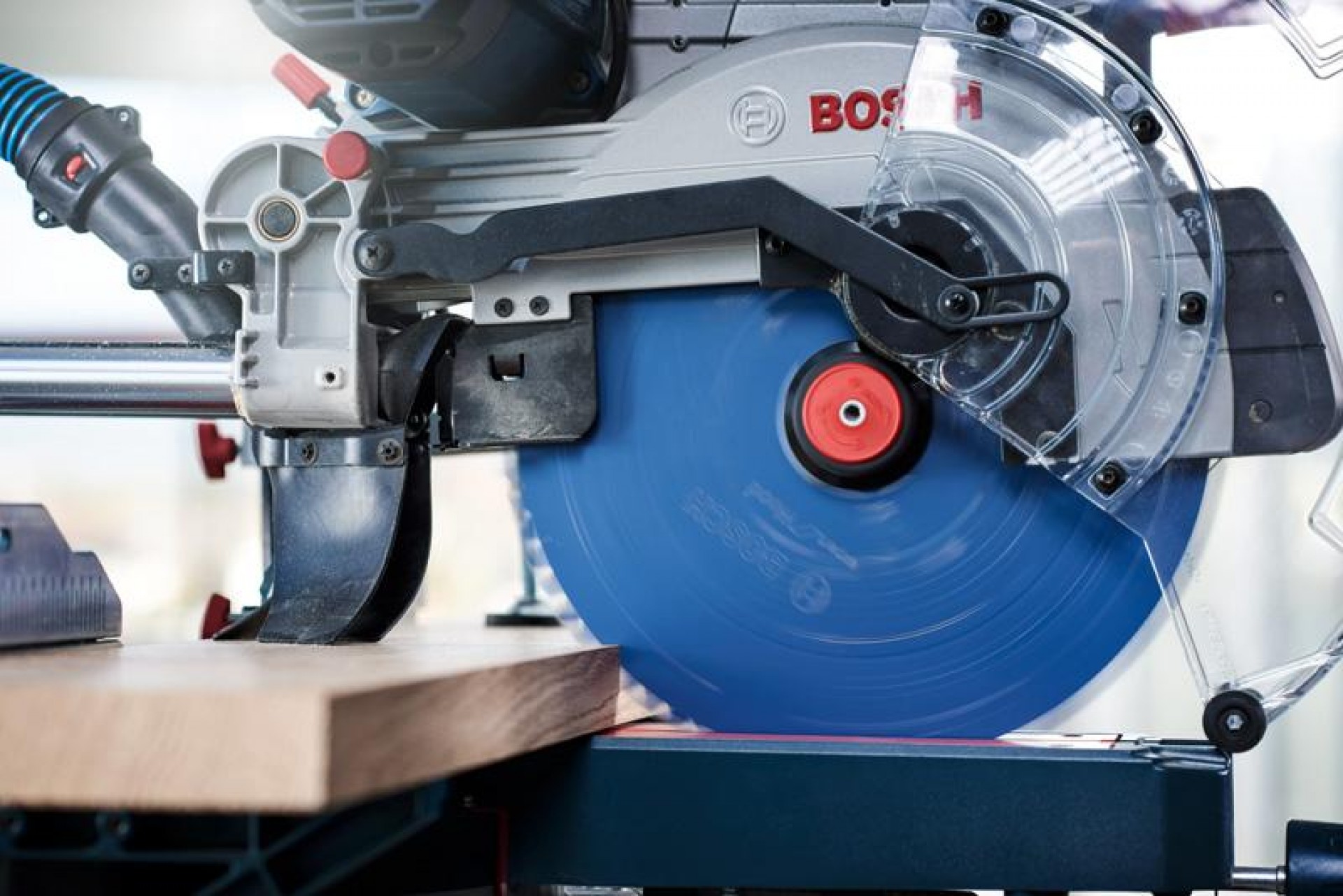 Disco Expert for Wood refª 2608642510 BOSCH