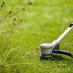 Aparador de relva sem fio AdvancedGrassCut 36V-33 ref� 06008C1K00 BOSCH
