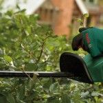 Corta-sebes sem fio EasyHedgeCut 18V-52-13 refª 0600849M01 BOSCH Corta-sebes sem fio EasyHedgeCut 18V-52-13 refª 0600849M01 BOSCH