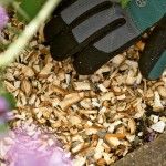 Triturador Rapid AXT RAPID 2200 ref 0600853605 BOSCH