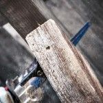 L�mina de serra sabre S 1256 XHM EXPERT ?Multi Material? 1 un. ref� 2608900394 BOSCH