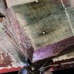 Lâmina PRO Pallet Repair S725VFR, 1,25 x 19 x 190 mm, 100 peças refª 2608658034 BOSCH Lâmina PRO Pallet Repair S725VFR, 1,25 x 19 x 190 mm, 100 peças refª 2608658034 BOSCH