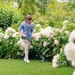 Aparador de relva sem fio EasyGrassCut 18V-230 ref� 06008C1A03 BOSCH