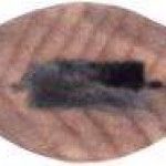 LPIS CARPINTEIRO 1016 VIARCO