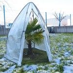 Estufa de Jardim, 160x160x180cm ref 69168 MADER