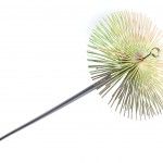 Escova Limpeza Chamin, com Vares, 7m ref 68238 MADER