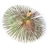 Escova Limpeza Chamin, com Vares, 7m ref 68238 MADER