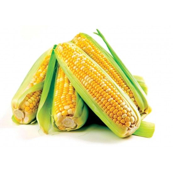 Debulhadora de Milho, 1100W refª 57076 MADER Debulhadora de Milho, 1100W refª 57076 MADER