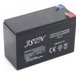 Bateria para Pulverizador, 12V, 8A ref 49163 MADER