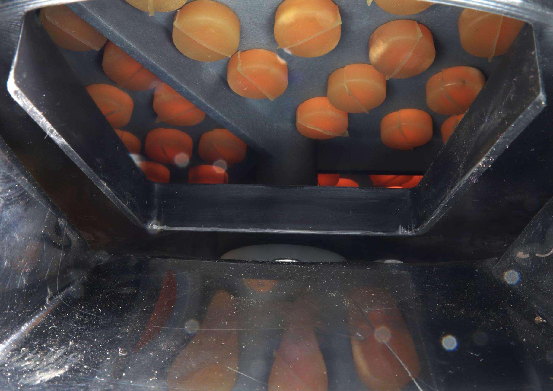 Depenador de pequenas aves ( perdizes, codornizes) - 180 W, 300 mm refª 48445 SAURIUM