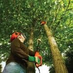 Motosserra de p�rtiga 800W 25cm ref� PS7525 BLACK DECKER (Outlet)