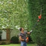 Corta-sebes de prtiga 550W ref PH5551 BLACK DECKER