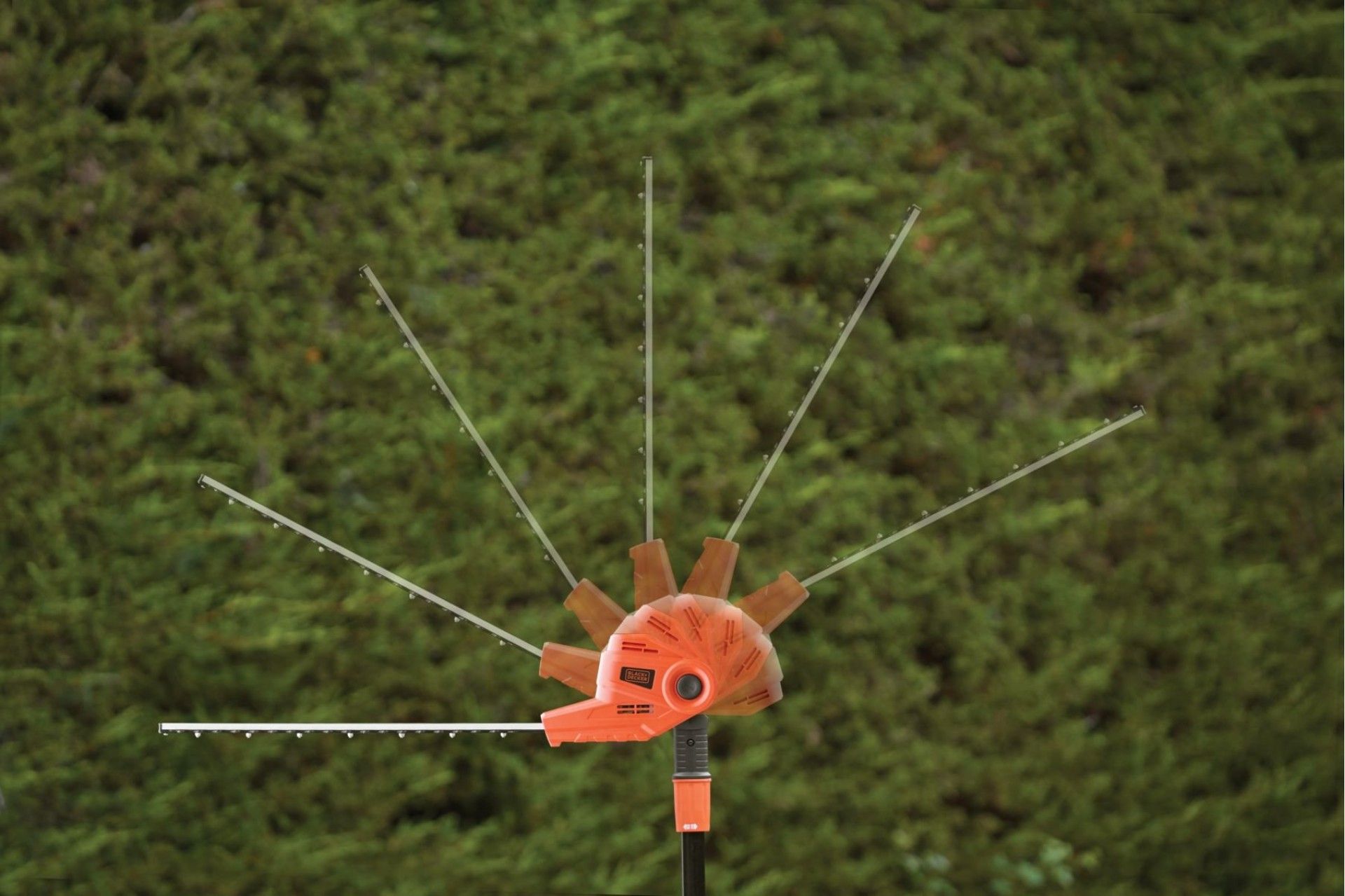 Corta-sebes de pértiga 550W refª PH5551 BLACK DECKER