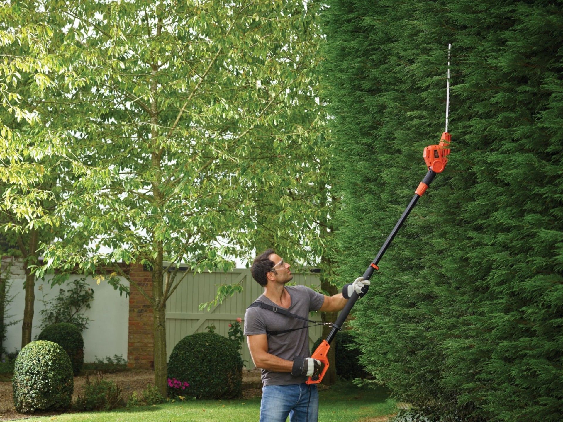 Corta-sebes de pértiga 550W refª PH5551 BLACK DECKER