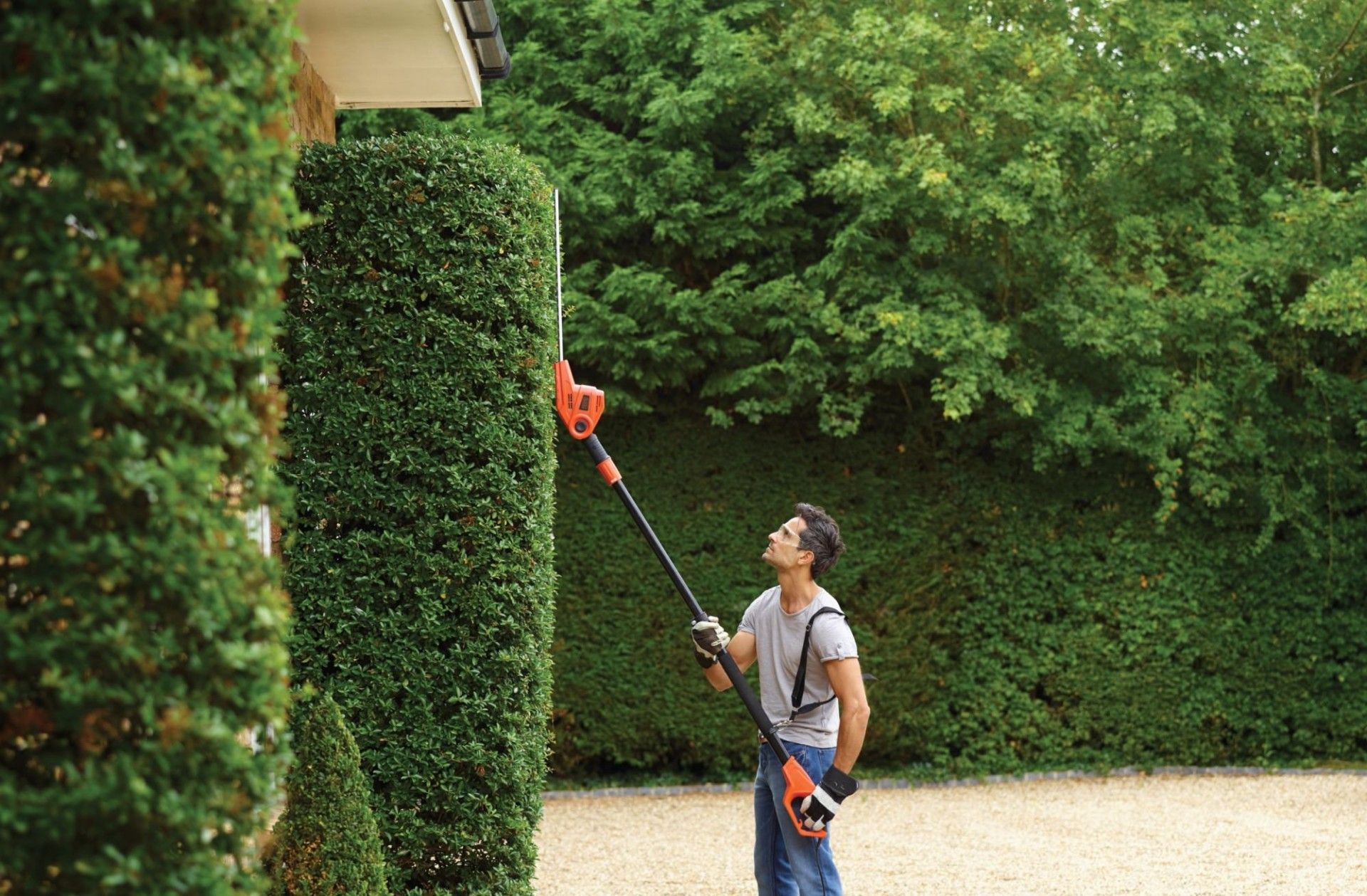 Corta-sebes de pértiga 550W refª PH5551 BLACK DECKER