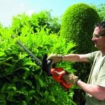 Corta-sebes 18V 2.0Ah 45cm ref GTC1845L20 BLACK DECKER