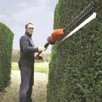 Corta-sebes de pértiga 18V 2.0Ah Lítio 43cm refª GTC1843L20 BLACK DECKER Corta-sebes de pértiga 18V 2.0Ah Lítio 43cm refª GTC1843L20 BLACK DECKER