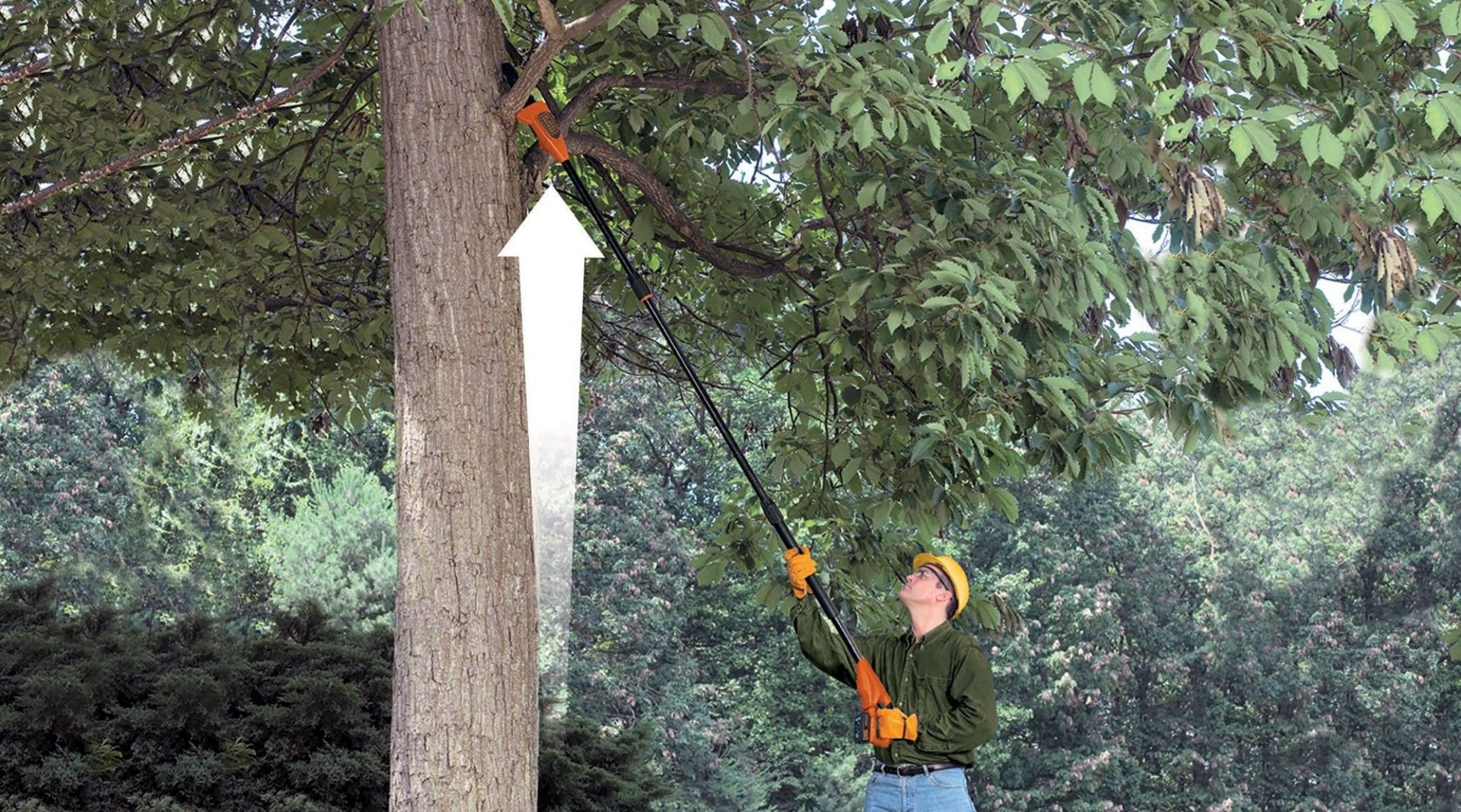 Motosserra de pértiga 18V Lítio 2.0Ah 20cm ref.GPC1820L20 BLACK DECKER