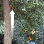 Motosserra de pértiga 18V Lítio 2.0Ah 20cm ref.GPC1820L20 BLACK DECKER Motosserra de pértiga 18V Lítio 2.0Ah 20cm ref.GPC1820L20 BLACK DECKER