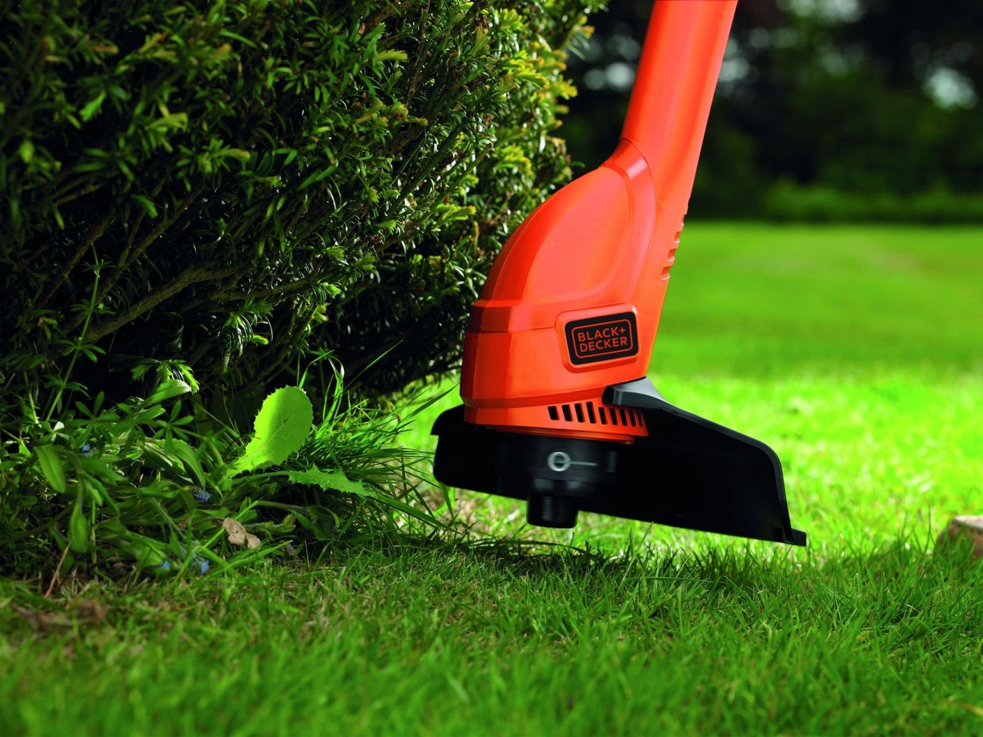 Aparador 250W 23cm refª GL250 BLACK DECKER