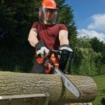 Eletrosserra 36V 2.0Ah Lítio 30cm refª GKC3630L20 BLACK DECKER Eletrosserra 36V 2.0Ah Lítio 30cm refª GKC3630L20 BLACK DECKER