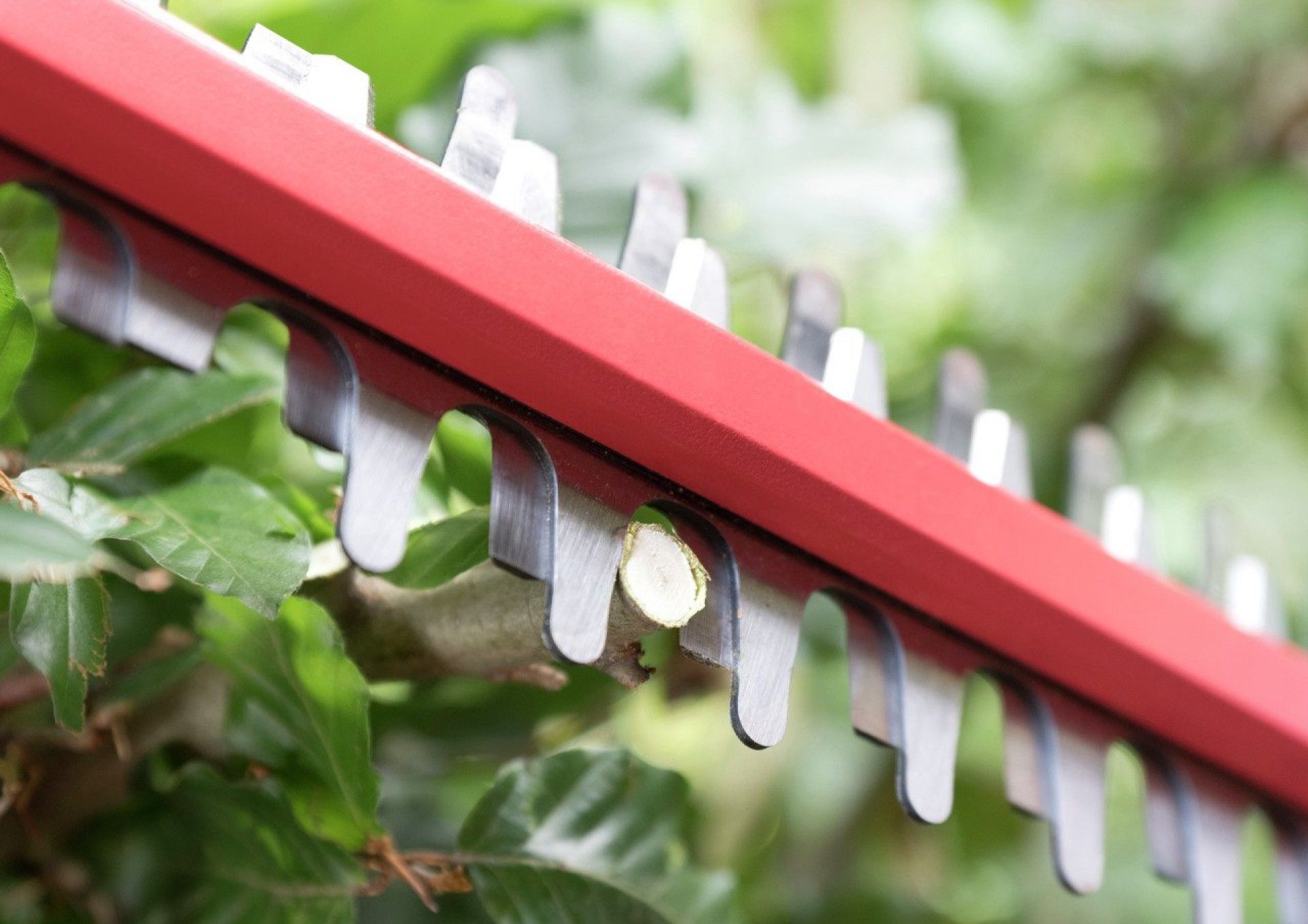 Corta-sebes sem fio 0430 CA refª GH1E0430CA Skil