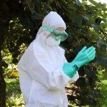 Kit Manuseamento Fitofarmacos T8 M  ref� FKMF8M FLUX