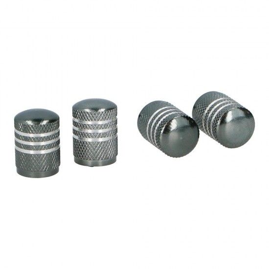 Set de 4 tampões de válvulas rodas de carro cinza refª 99984 LIFETIME Set de 4 tampões de válvulas rodas de carro cinza refª 99984 LIFETIME