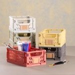 Caixa de armazenamento dobr�vel 25x16,5x10cm kit 2 pe�as ref� 81231 DAY