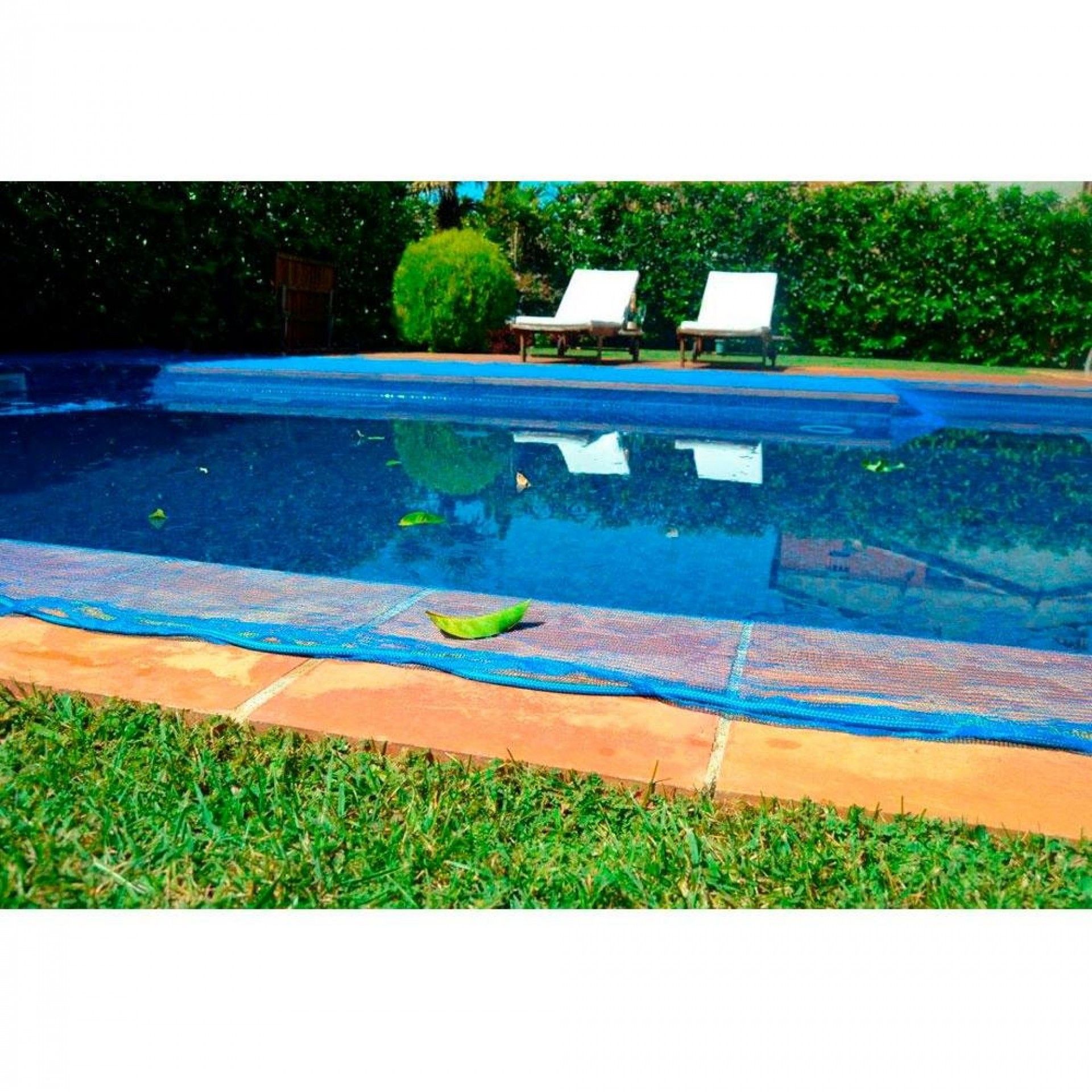 Malha para piscina 7x7m leaf pool cobver refª 81039 FUN AND GO