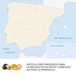 Tesoura para colheita de frutas e verduras tico-m110c refª 79208 MANZANA NULES Tesoura para colheita de frutas e verduras tico-m110c refª 79208 MANZANA NULES