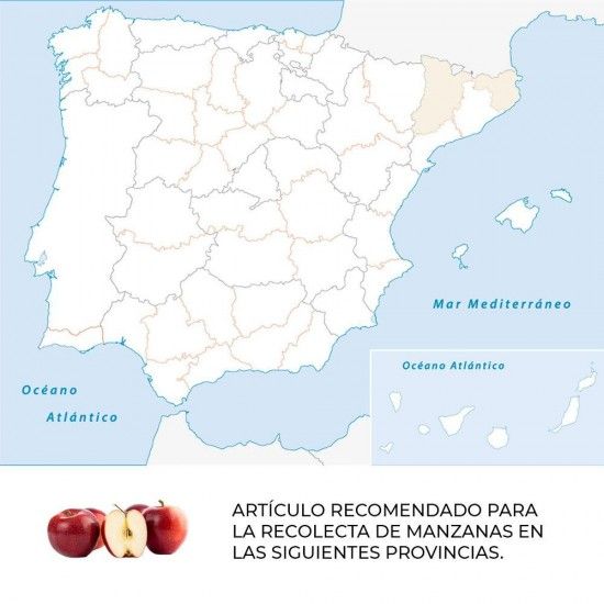 Tesoura para colheira de ma��s ticimam14-am ref� 79204 MANZANA NULES