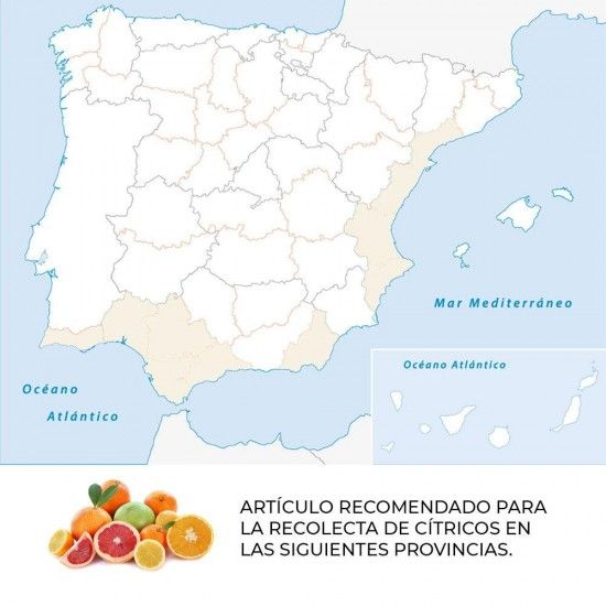 Tesoura para colheita de cítricos ticim87-di refª 79200 MANZANA NULES Tesoura para colheita de cítricos ticim87-di refª 79200 MANZANA NULES