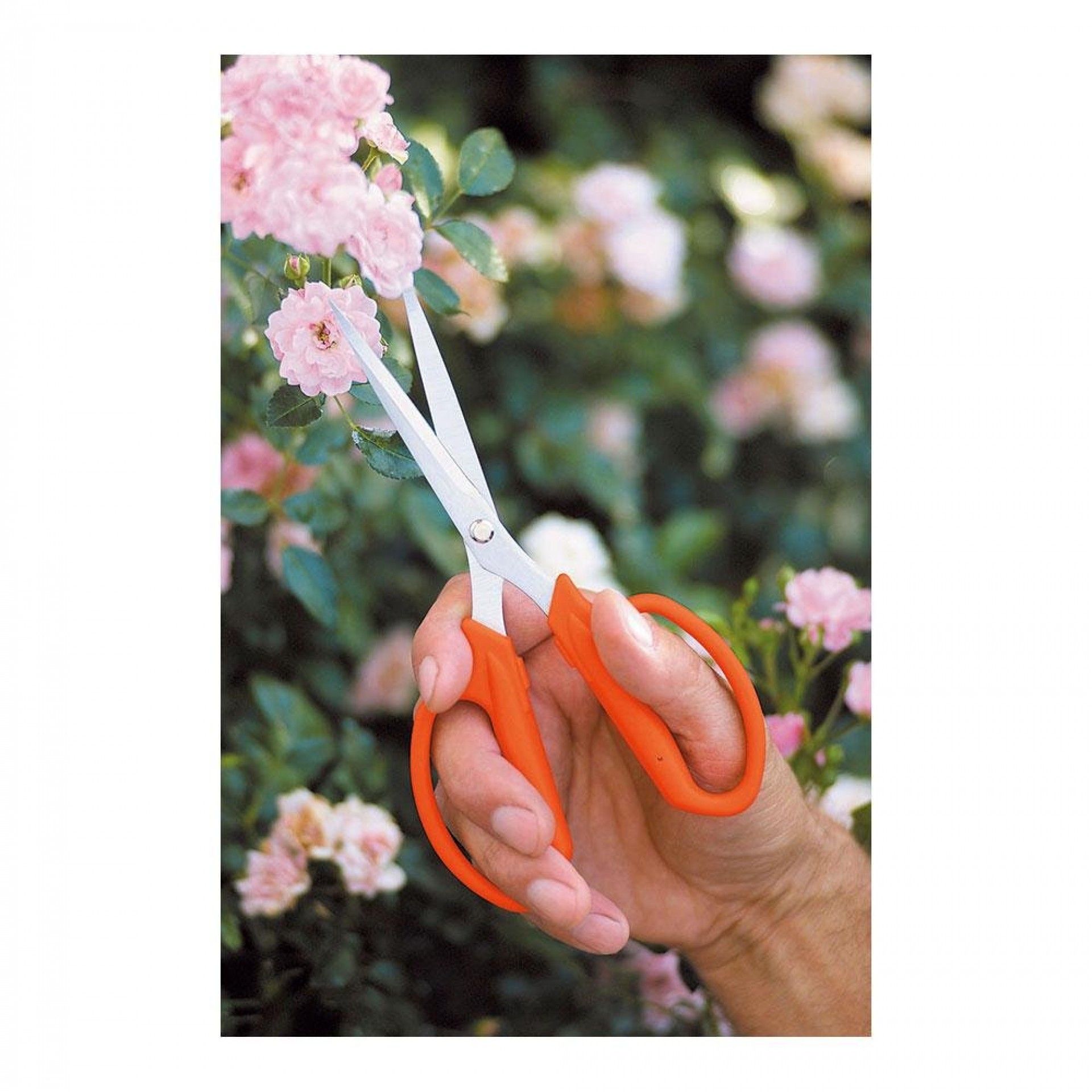 Tesoura florista 19,5. refª 79008 STOCKER