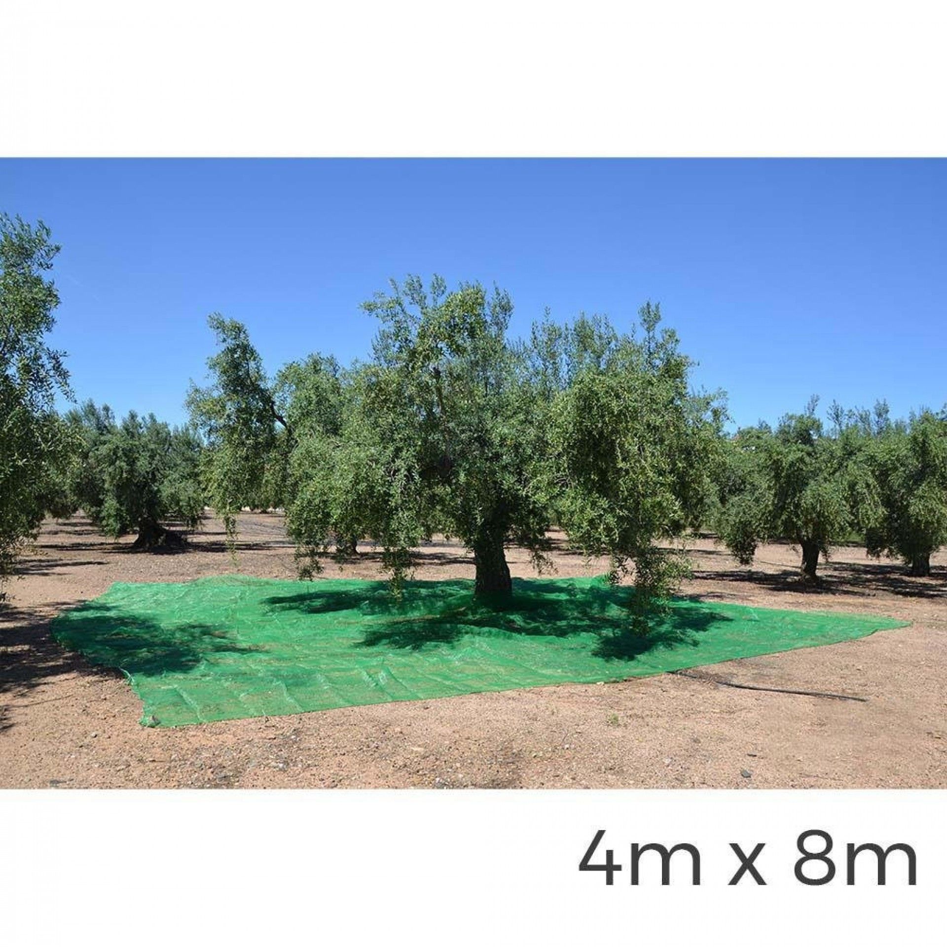 Manto para coleta de frutas 4x8m cor verde refª 75110 NULL