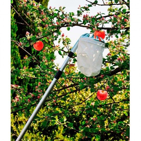 Recolhedor de frutas telescpico extensvel de 130-240cm grouw ref 74989 GROW