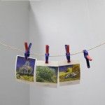 Mola 50mm. ref 21018 WORKPRO