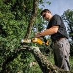 Eletroserra de poda XR 18V Brushless ref DCMPS520N-XJ DEWALT