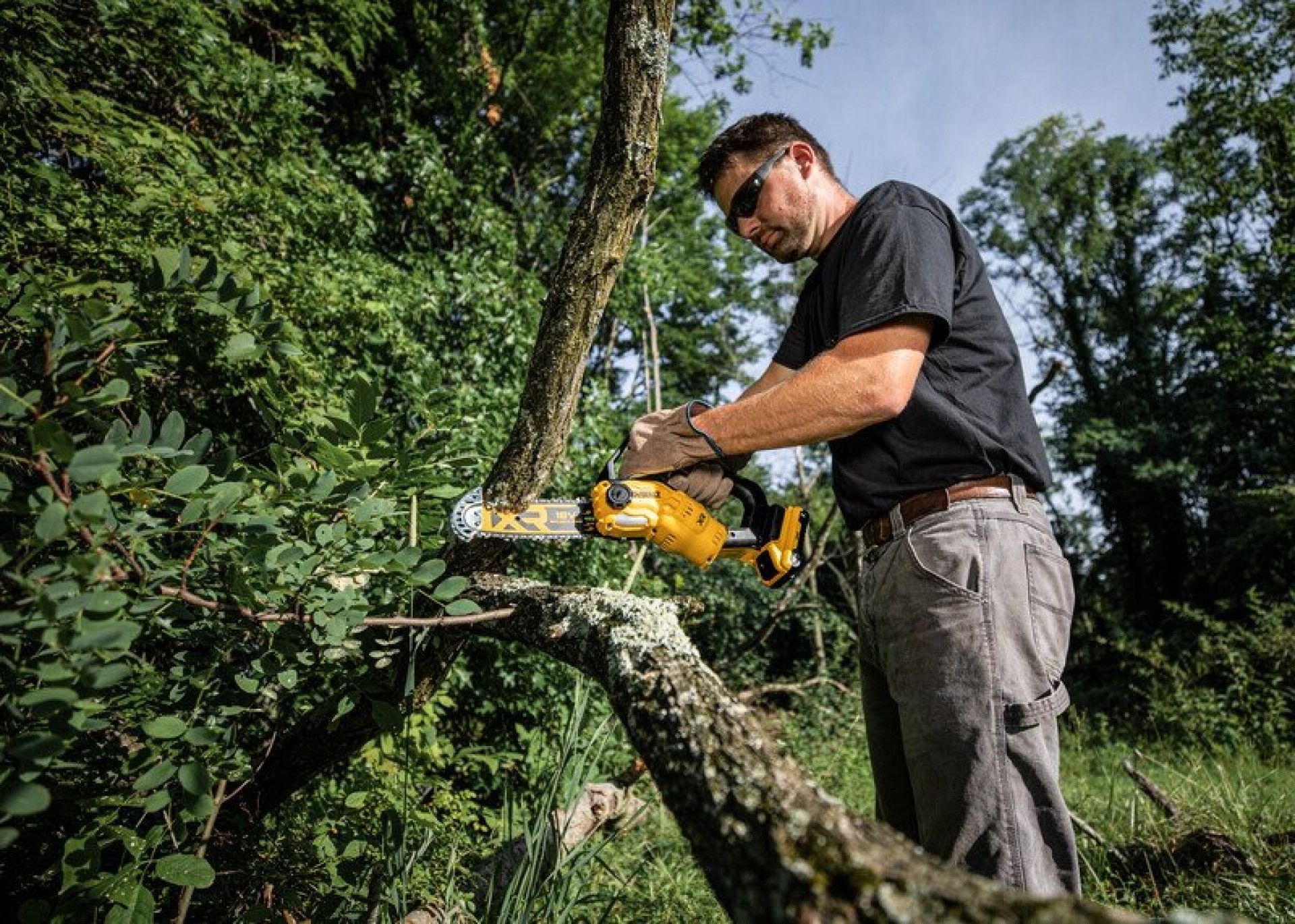 Eletroserra de poda XR 18V Brushless refª DCMPS520N-XJ DEWALT